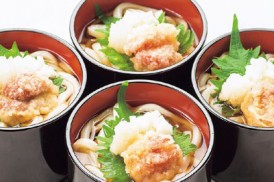 ⑮【和】夏日しのぐさっぱり風味　冷やし饂飩
