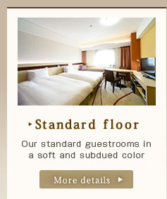 Standard floor